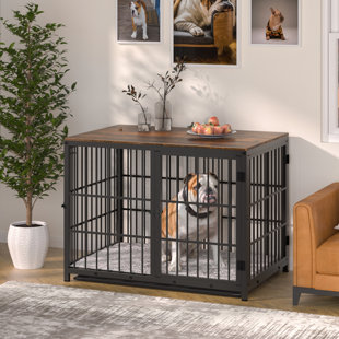 Designer Dog Crates Furniture Wayfair